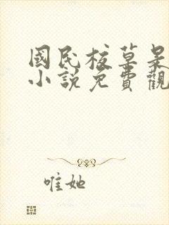 国民校草是女生小说免费观看