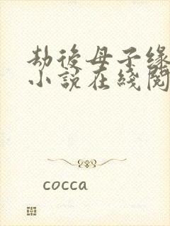 劫后母子缘续集小说在线阅读