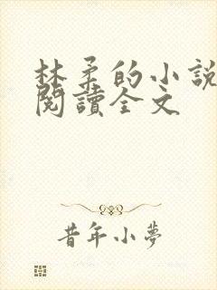 林柔的小说在线阅读全文