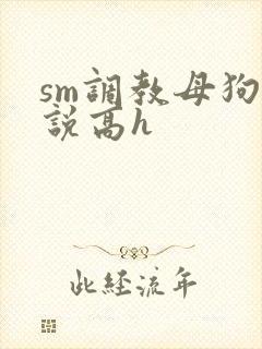 sm调教母狗小说高h