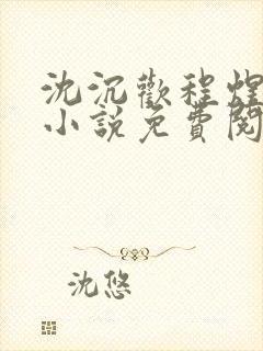 沈沉欢程煜原著小说免费阅读