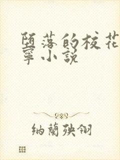 堕落的校花赵诗宁小说