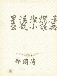 星汉灿烂,幸甚至哉小说无删减封面