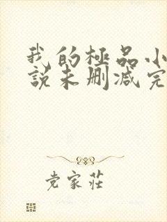 我的极品小姨小说未删减完整版