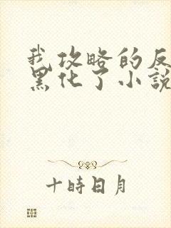 我攻略的反派都黑化了小说免费阅读14