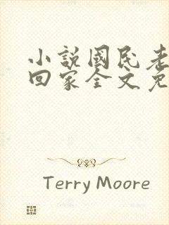 小说国民老公带回家全文免费阅读封面