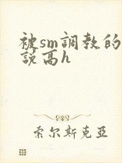 被sm调教的小说高h