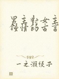 男主对女主一见钟情的古言封面