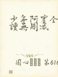 少年阿宾全文阅读无删减