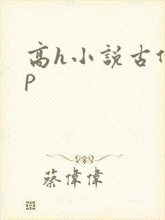 高h小说古代np