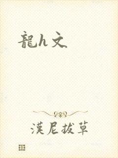 龙h文