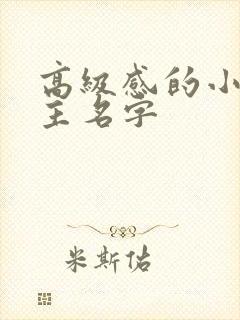 高级感的小说女主名字