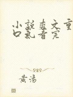 小说爽文重生一口气看完封面