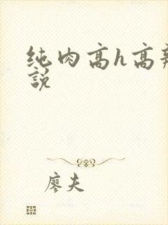 纯肉高h高辣小说