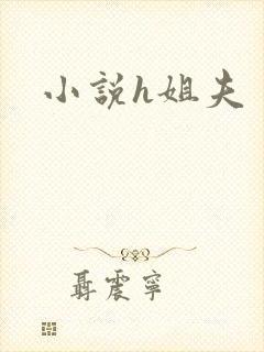 小说h姐夫