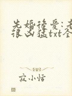 先婚后爱:老公很凶猛txt全文下载
