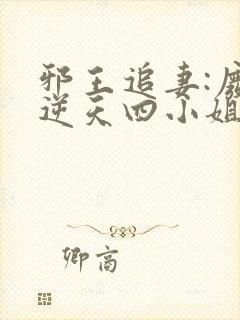 邪王追妻:废材逆天四小姐