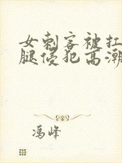 女刺客被扛起玉腿侵犯高潮h小说