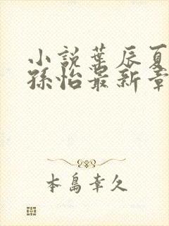 小说叶辰夏若雪孙怡最新章节