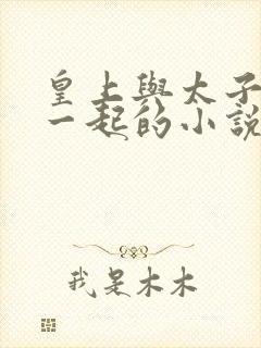 皇上与太子妃在一起的小说