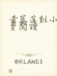 黄蓉落难小说免费阅读