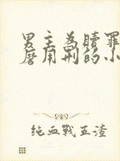 男主为赎罪任折磨用刑的小说