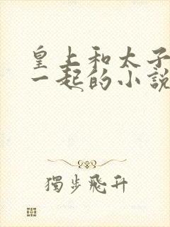 皇上和太子妃在一起的小说有哪些