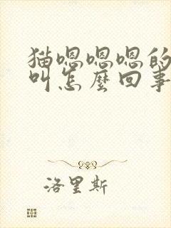 猫嗯嗯嗯的闷声叫怎么回事