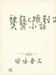 被狂c躁到高潮失禁小说