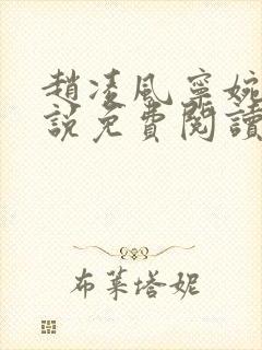 赵凌风宁婉婉小说免费阅读无弹窗