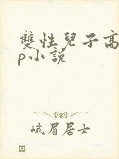 双性儿子高hnp小说