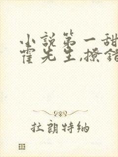 小说第一甜妻:霍先生,撩错了封面