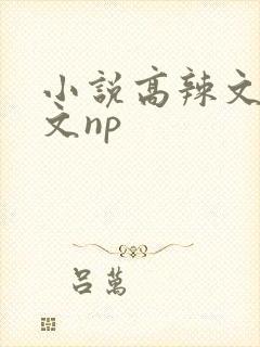 小说高辣文高h文np