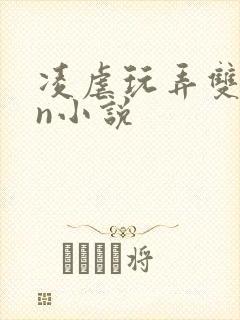 凌虐玩弄双性大n小说