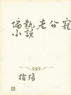 偏执老公宠上天小说