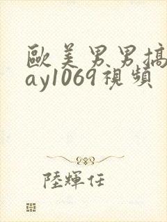 欧美男男搞基gay1069视频