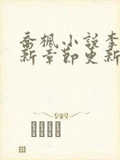 乔枫小说李婷最新章节更新