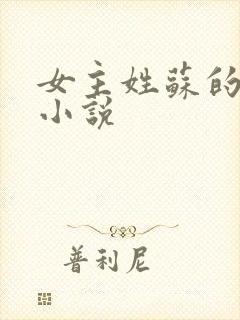 女主姓苏的重生小说