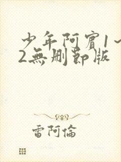 少年阿宾1～72无删节版