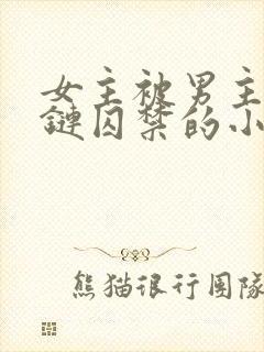 女主被男主用锁链囚禁的小说