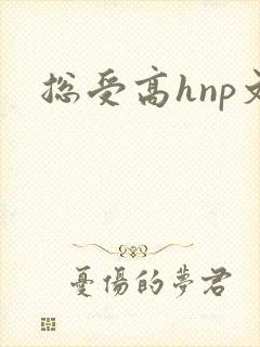 总受高hnp文