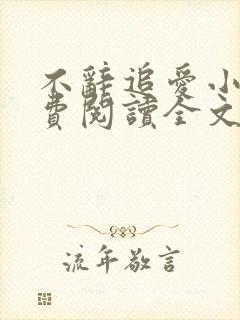 不辞追爱小说免费阅读全文最新章节