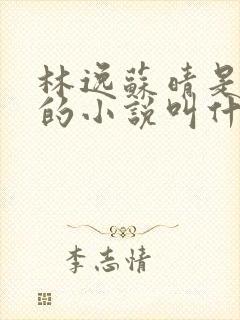 林逸苏晴是主角的小说叫什么