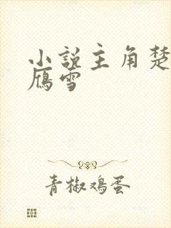 小说主角楚尘楚雁雪