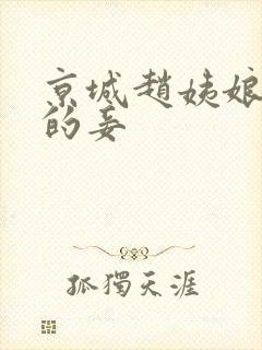 京城赵姨娘是谁的妾