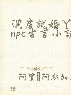 洞房试婚丫鬟的npc古言小说