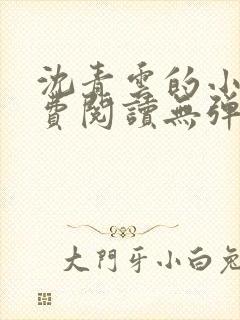 沈青云的小说免费阅读无弹窗全文最新章节