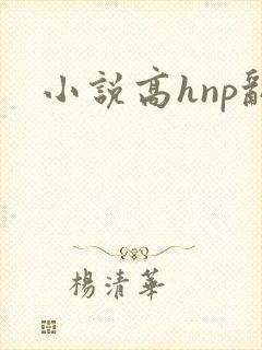 小说高hnp乱