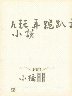 h玩弄跪趴调教小说封面