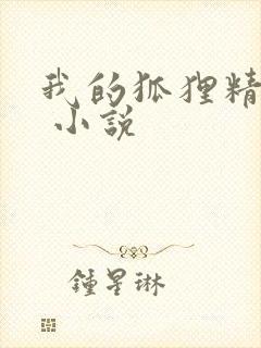 我的狐狸精后妈 小说封面